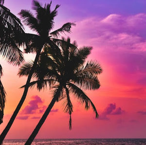 Meet your Posher, Brady